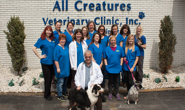 all animals veterinary hospital